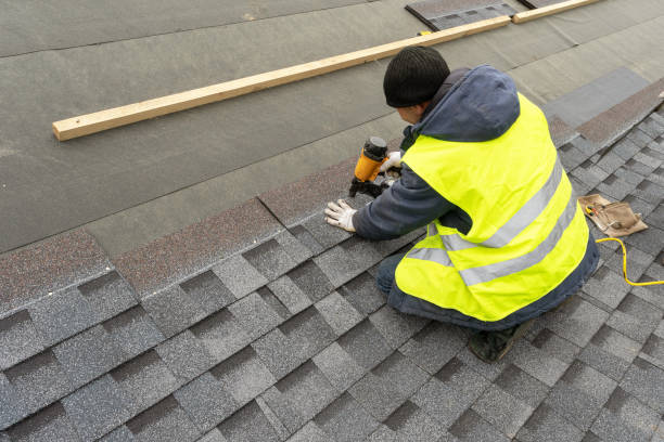 Best Roof Ventilation Installation  in Forest Hills, TN