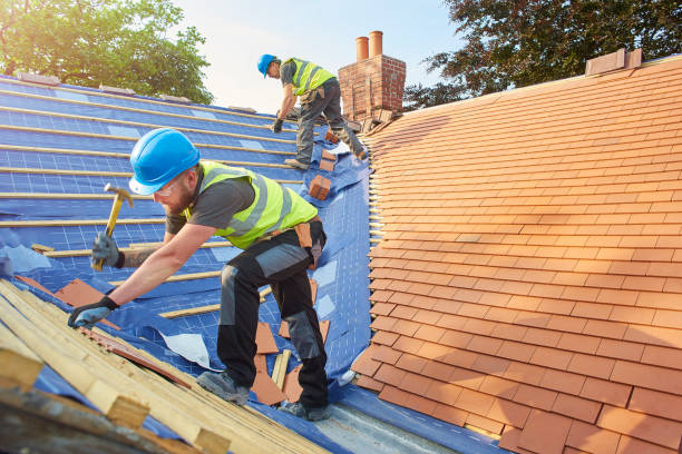 Best Roof Moss and Algae Removal  in Forest Hills, TN